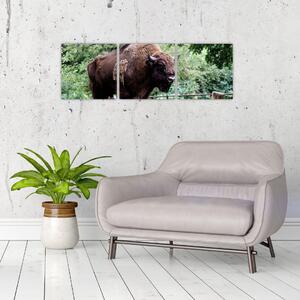 Obraz s americkým bizónom (Obraz 90x30cm)