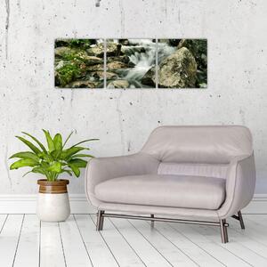 Horský vodopád - obraz (Obraz 90x30cm)