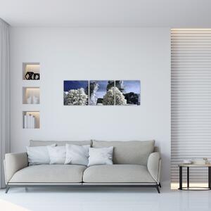 Zimná krajina - obraz do bytu (Obraz 90x30cm)