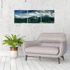 Panoráma hôr - obraz (Obraz 90x30cm)