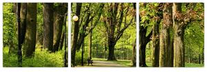 Cesta v parku - obraz (Obraz 90x30cm)