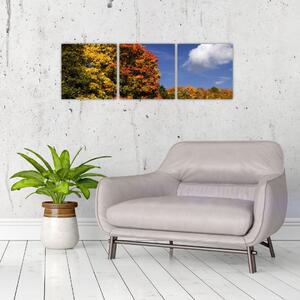 Jesenné stromy - obraz do bytu (Obraz 90x30cm)
