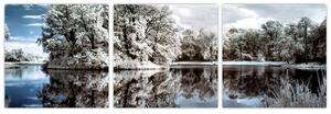 Zimná krajina - obrazy (Obraz 90x30cm)
