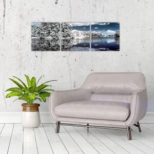 Zimná krajina - obraz (Obraz 90x30cm)