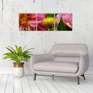 Obraz kvetu rastliny (Obraz 90x30cm)