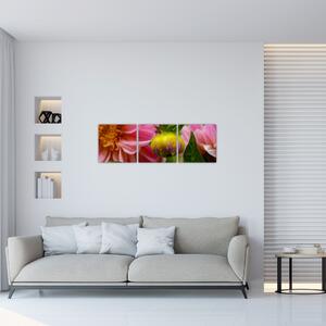 Obraz kvetu rastliny (Obraz 90x30cm)