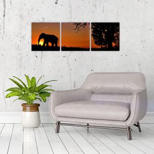Obraz slona v prírode (Obraz 90x30cm)