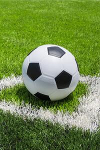 Jerry Fabrics Deka fleecová 100x150 cm - Futbal
