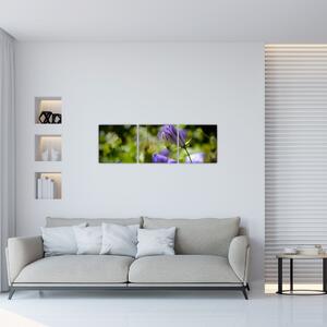 Modrá kvetina - obraz (Obraz 90x30cm)