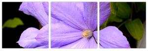 Obraz kvetu (Obraz 90x30cm)