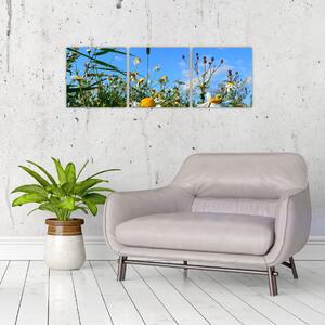 Obraz lúčnych kvetov (Obraz 90x30cm)