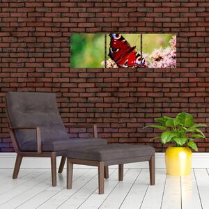 Motýľ - obraz (Obraz 90x30cm)