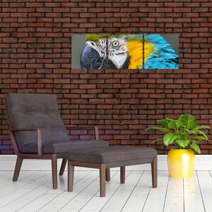 Papagáj - obraz (Obraz 90x30cm)
