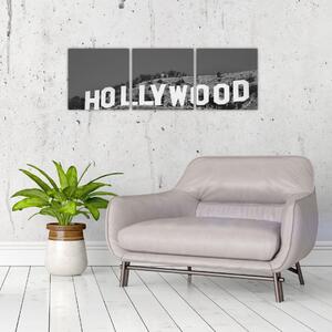 Nápis Hollywood - obraz (Obraz 90x30cm)
