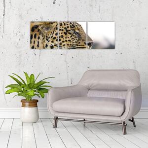 Leopard - obraz (Obraz 90x30cm)