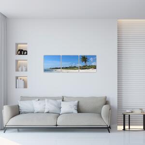 Exotická pláž - obraz (Obraz 90x30cm)