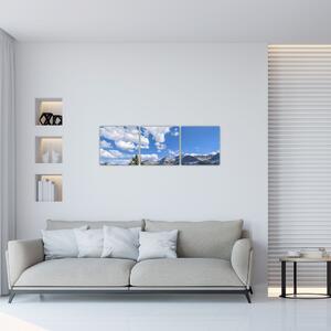 Fotka hôr - obraz (Obraz 90x30cm)