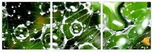 Kvapky vody - obrazy (Obraz 90x30cm)