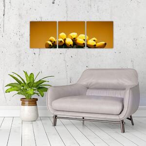 Banány na váhe - obraz na stenu (Obraz 90x30cm)