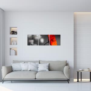 Vlčie maky - obraz na stenu (Obraz 90x30cm)