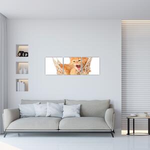 Obraz mačiatka (Obraz 90x30cm)