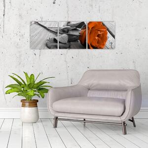 Ruže oranžová - obraz (Obraz 90x30cm)