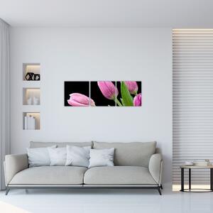 Obraz tulipánov (Obraz 90x30cm)