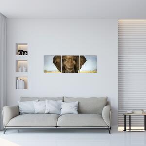 Slon - obraz (Obraz 90x30cm)