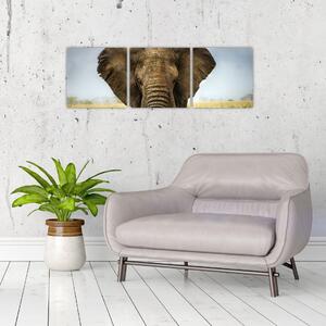 Slon - obraz (Obraz 90x30cm)