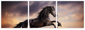 Kôň - obraz (Obraz 90x30cm)