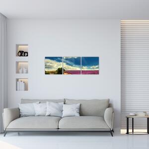 Levanduľové polia - obraz (Obraz 90x30cm)