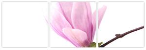 Kvet - obraz (Obraz 90x30cm)