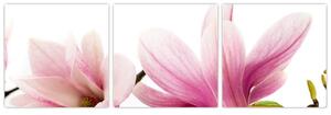 Kvetina - obraz (Obraz 90x30cm)