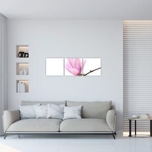 Kvet - obraz (Obraz 90x30cm)
