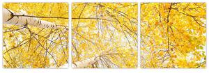 Jesenné lístie - moderný obraz (Obraz 90x30cm)