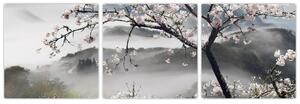 Sakura - obraz (Obraz 90x30cm)