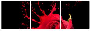 Abstraktný obraz ruža - obraz (Obraz 90x30cm)
