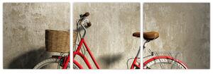 Bicykel - obraz (Obraz 90x30cm)