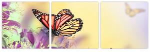 Motýle - obraz (Obraz 90x30cm)