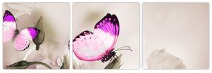 Motýľ na kvetine - obraz (Obraz 90x30cm)
