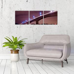 Nočná most - obraz (Obraz 90x30cm)