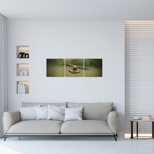 Orel - obraz (Obraz 90x30cm)