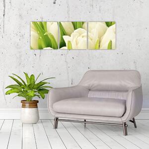 Detail tulipánov - obraz (Obraz 90x30cm)