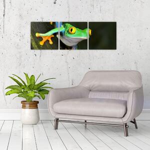 Žaba - obraz (Obraz 90x30cm)