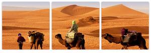 Ťavy v púšti - obraz (Obraz 90x30cm)