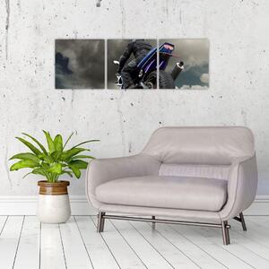 Motorkár - obraz (Obraz 90x30cm)
