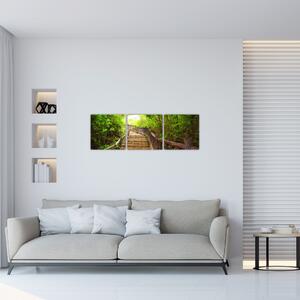 Schody v lese - obraz (Obraz 90x30cm)