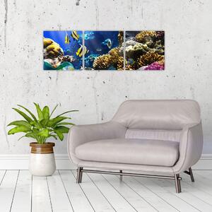 Podmorský svet - obraz (Obraz 90x30cm)