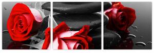 Obraz ruží (Obraz 90x30cm)
