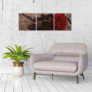Abstraktný obraz ruže na stenu - obraz (Obraz 90x30cm)